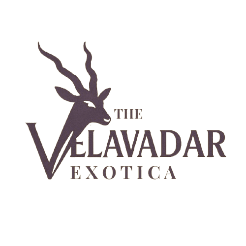 The Velavadar Exotica